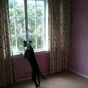Margaret Dawson's photo