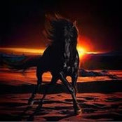 Pavleta Ellison's photo
