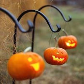 Julisa Robinson's photo