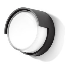 LED Ceiling and Wall Luminaire, Graphite, Small