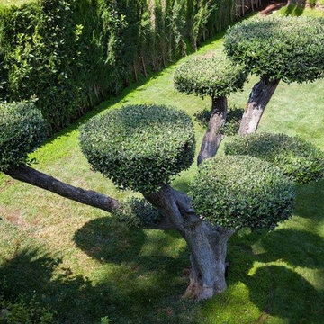 Mantenimiento de jardines