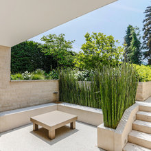 Garten - Pflanzen