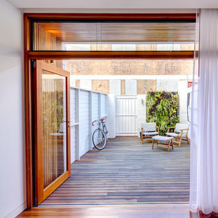 シドニーのコンテンポラリースタイルのおしゃれな屋上のデッキ (壁面緑化) の写真