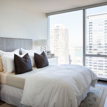 Streeterville Private Residence
