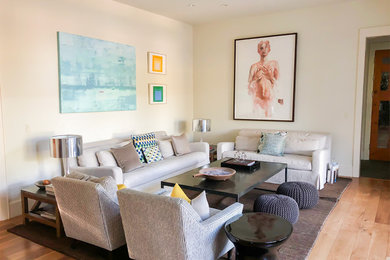 Living room - contemporary living room idea in Other