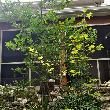 Southwest Austin Screened Room