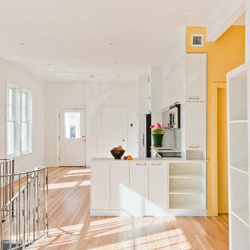 Net Zero House