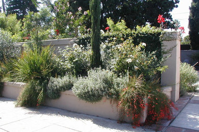 Design ideas for a mediterranean landscaping in Orange County.