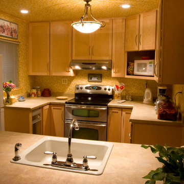 Tiny Cabin Kitchen- Remodel