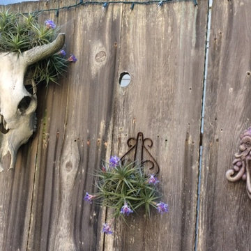 Random Photos from Gardens I Care For