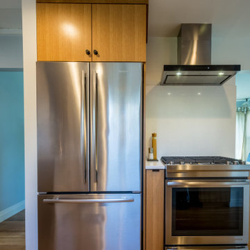 Mid-Century Kitchen Remodel