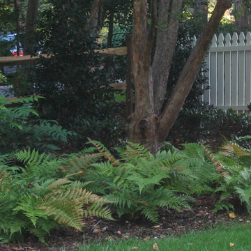 Plantings