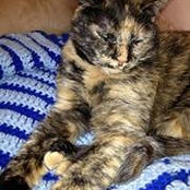 Shari Altman's photo