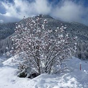 Photo de Serge Houel