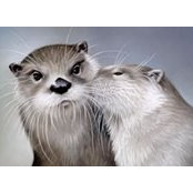 Melody Wolfgram's photo