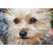 Diane Sexton's photo