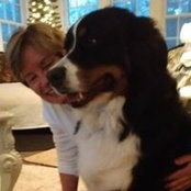 Denise Green's photo