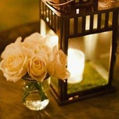Lyna Stark's photo