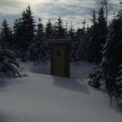 Foto von Cathi Lewis