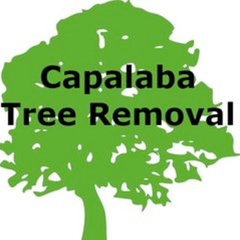 Capalaba Tree Removal
