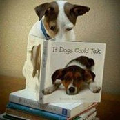 Jeannie Doire Comunale's photo
