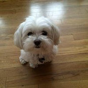 Kim Barbieri's photo