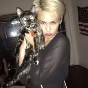 Photo de Hannah Hart
