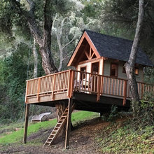 Treehouse