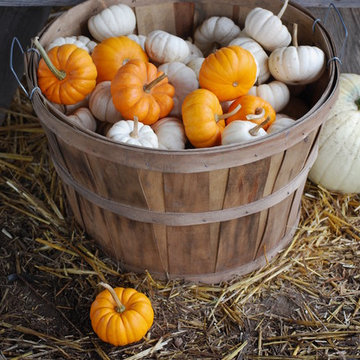 F A R M - Seasonal Autumn