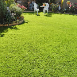 Macgregor BackYard Makeover - Gardening And Lawn Care