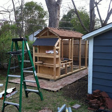 Chicken Coops & Ideas