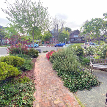 Christine's Frontyard Garden