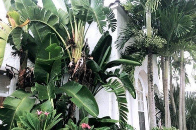 Inspiration for a mediterranean home design remodel in Miami