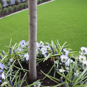 Contemporary Urban Garden