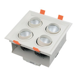 LED down light - Ceiling Lighting