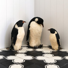 Tile