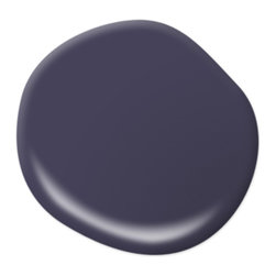 Renaissance PPU16-20 - Paint