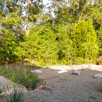 Modern Meadow Garden