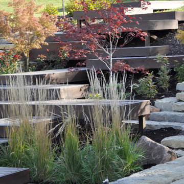Modern Hillside Entry and Sculpture Garden