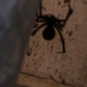 Foto de Dagrelle Adora
