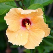 Sandy Sinex's photo