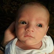 Stephen Fontana's photo