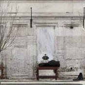 Maxim Ivashin's photo