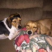 Jami Clark's photo