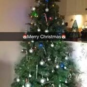 Julie Minns's photo