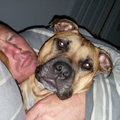 Grant Shorty's photo