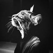 Yosef Bamnolkar's photo