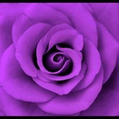Kynoesha Guinyard's photo