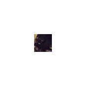 C Ts foto