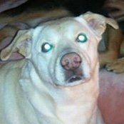 Tammy Lauber's photo